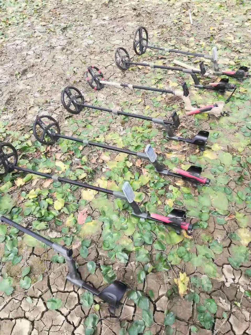 ��(qi��ng)�l(f��)���